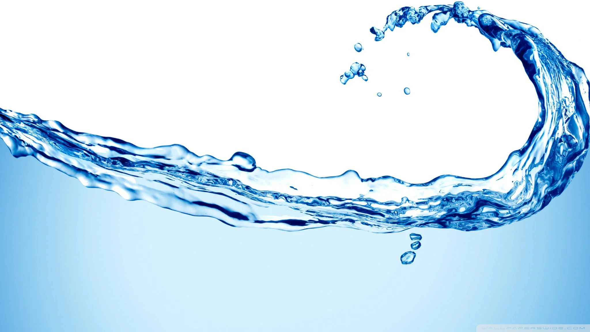 Distribuição e importância da água