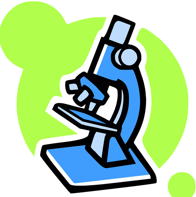 O Microscópio