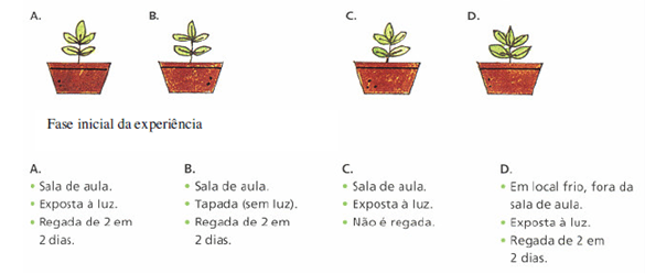 As plantas e o meio 