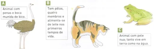 Classificação dos seres vivos 