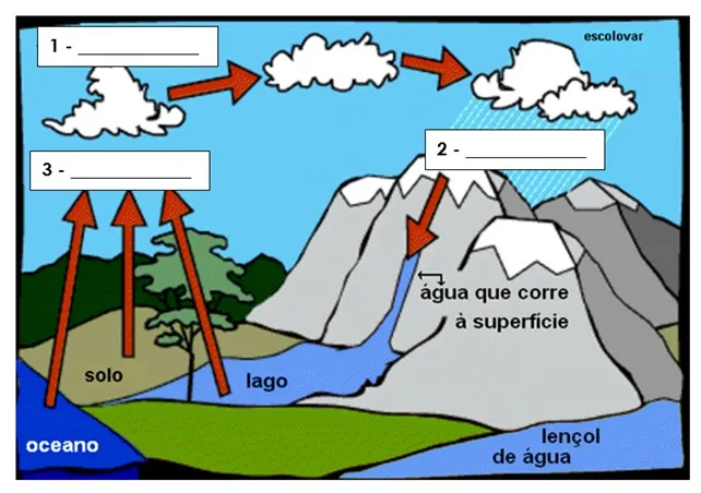 Distribuição da água e sua importância 