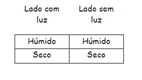 Influência dos fatores do meio 