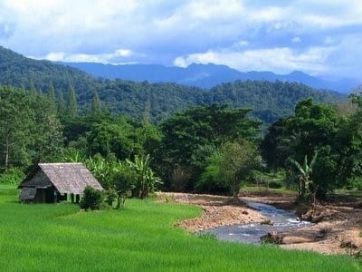 Paisagens naturais e humanizadas 