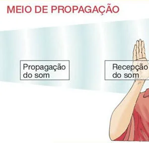 Ficha de Trabalho – Produção e propagação do som (2)