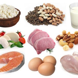 Ficha Informativa – Reacção do organismo ao excesso ou à carência de alimento (1)