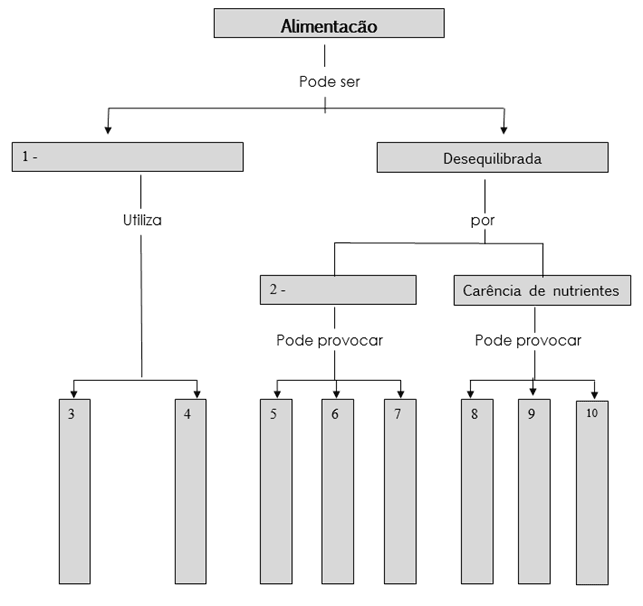 Tipos e funções dos nutrientes 