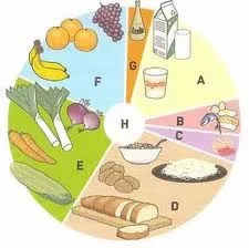 Alimentação saudável 