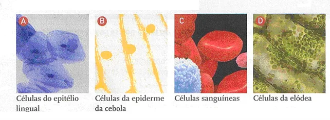 Biosfera- unidade e organização da vida 