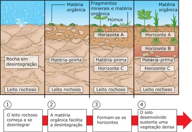 Formação do solo