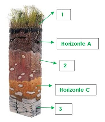 Formação do solo 