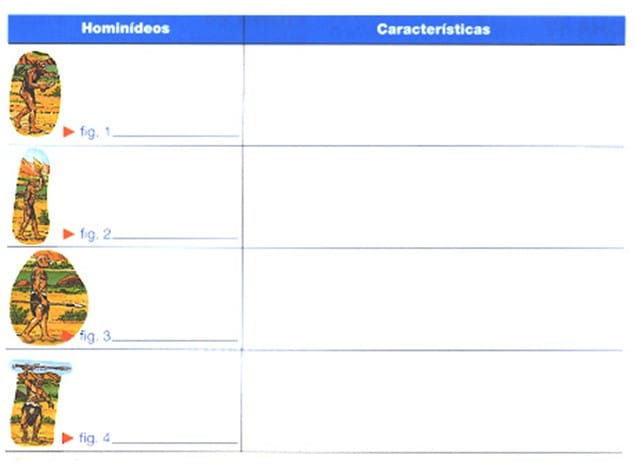 As Primeiras sociedades recolectoras 