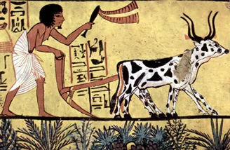 Egipto