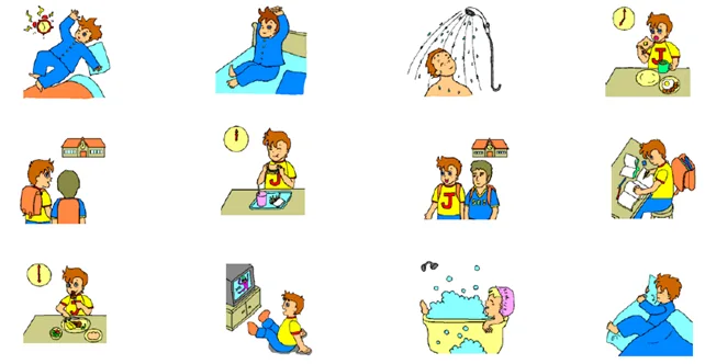 Daily Routine 