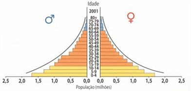Estrutura etária