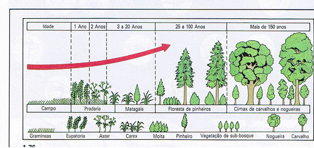 Funcionamento dos ecossistemas 