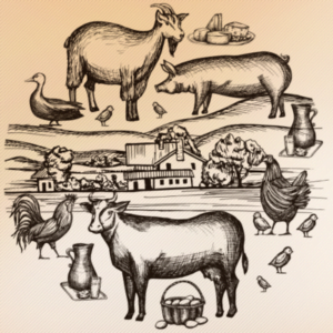 Teste Diagnóstico – A agricultura a pecuária e a pesca (2)