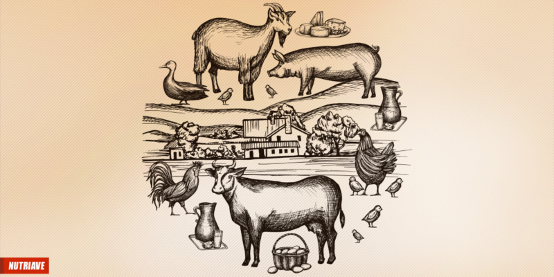A agricultura, a pecuária e a pesca