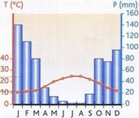 Clima e formações vegetais 