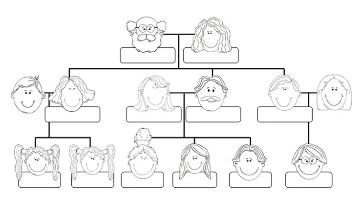 Family 