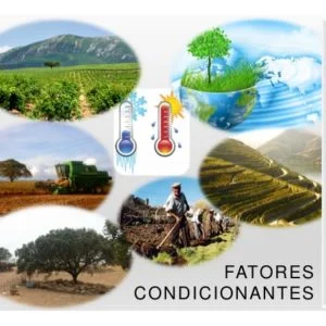 Ficha de Trabalho – Fatores que condicionam a agricultura (1)