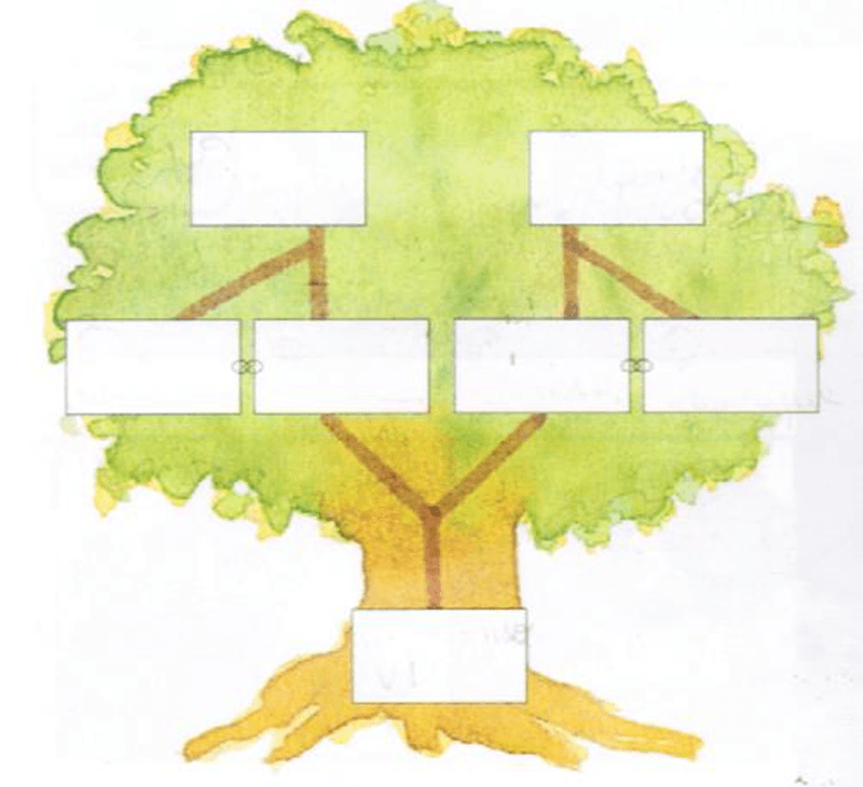 Formação do Reino de Portugal 