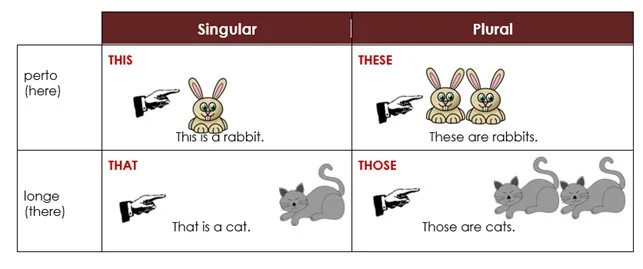 Demonstrative pronouns