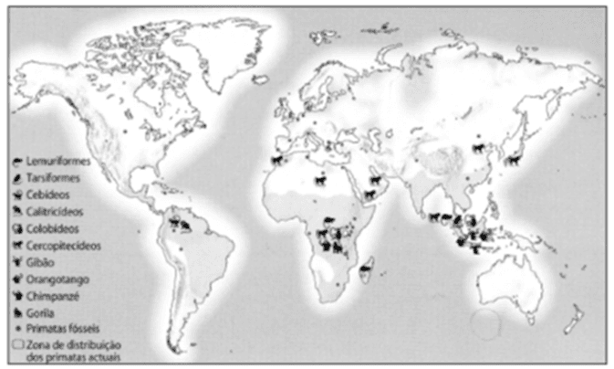 Fundamentos da estrutura e da dinâmica da Terra 