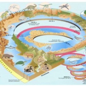 Ficha de Trabalho – Grandes etapas na História da Terra (1)