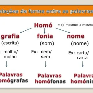 Ficha de Trabalho – Relação entre palavras (1)