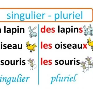 Ficha de Trabalho – Le pluriel (2)