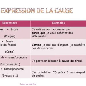 Ficha de Trabalho – L’ expression de la cause (1)