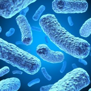 Teste Diagnóstico – Micróbios (1)
