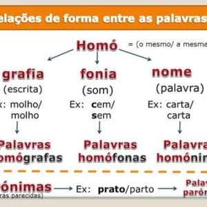 Ficha Informativa – Relação entre palavras (1)