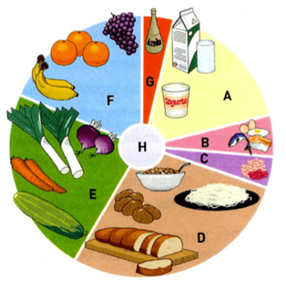 Alimentação 