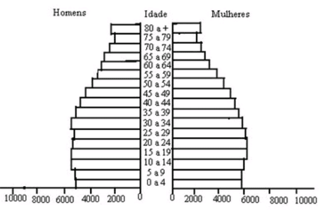 Estrutura etária 