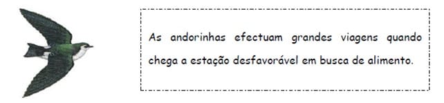 Influência dos fatores do meio 