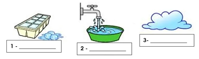 Distribuição da água e sua importância 