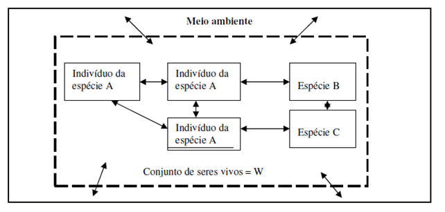 Ecossistemas 