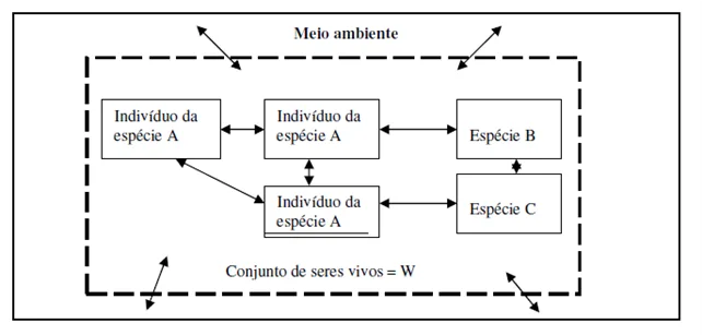 Ecossistemas 