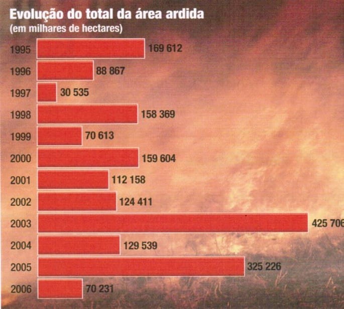 As Rochas solo e os seres vivos 