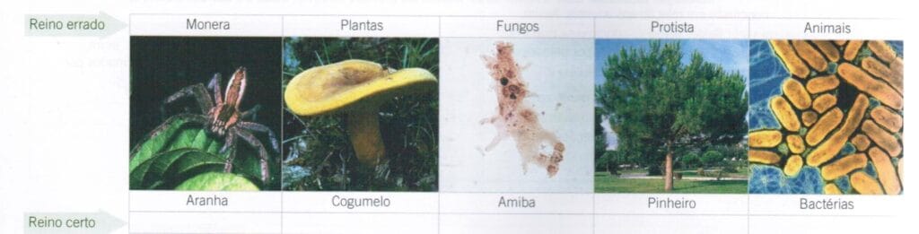 Classificação dos seres vivos 