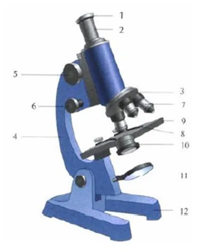 Microscópio 