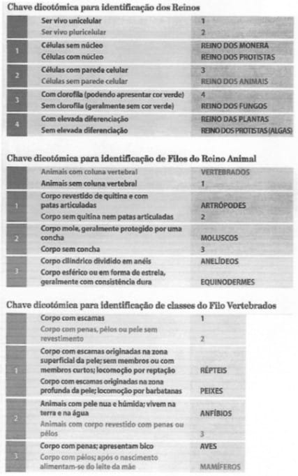 Célula e constituição dos seres vivos 