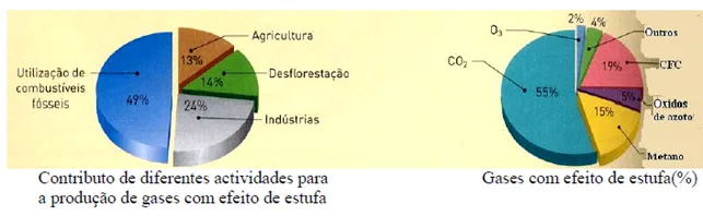 Alterações dos ecossistemas e medidas de conservação 