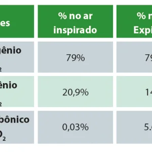 Ficha de Trabalho – Composição do ar (2)