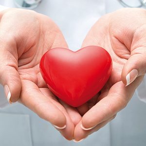 Cuidados a ter com o sistema cardiovascular – Ficha de Trabalho (1) – Soluções
