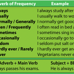 Ficha de trabalho – The Adverbs of frequency (1)