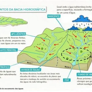 Ficha de Trabalho – Bacias hidrográficas (1)