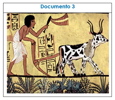 Contributo das primeiras civilizações