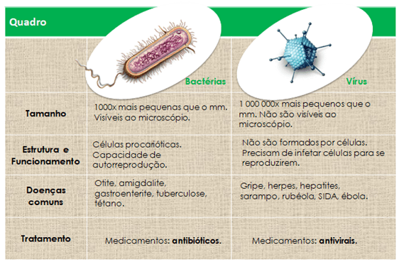 Importância da saúde individual e comunitária 